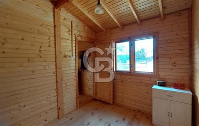 CB İZMİR DİKİLİ NEBİLER MAHALLESİ'NDE SATILIK ZEYTİNLİK 