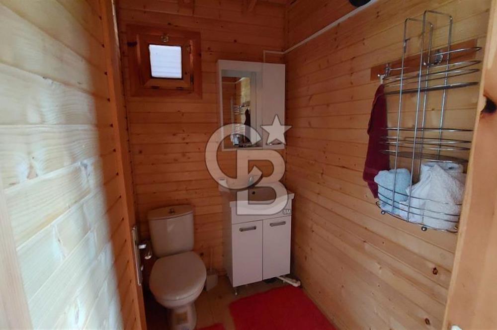 CB İZMİR DİKİLİ NEBİLER MAHALLESİ'NDE SATILIK ZEYTİNLİK 