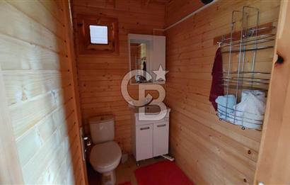 CB İZMİR DİKİLİ NEBİLER MAHALLESİ'NDE SATILIK ZEYTİNLİK 