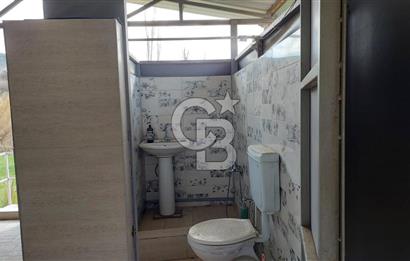 CB İZMİR DİKİLİ NEBİLER MAHALLESİ'NDE SATILIK ZEYTİNLİK 