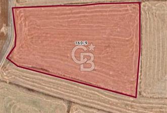 AFYONKARAHİSAR EMİRDAĞI ÖRENKÖY SATILIK TARLA - 1 - 341466