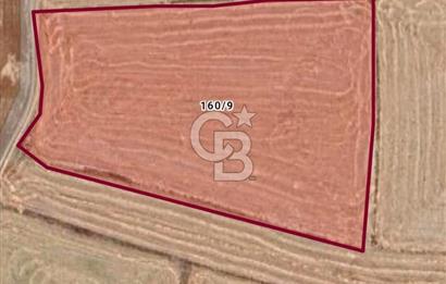 AFYONKARAHİSAR EMİRDAĞI ÖRENKÖY SATILIK TARLA