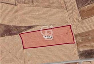 AFYONKARAHİSAR EMİRDAĞI ÖRENKÖY SATILIK TARLA - 2 - 341465