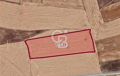 AFYONKARAHİSAR EMİRDAĞI ÖRENKÖY SATILIK TARLA