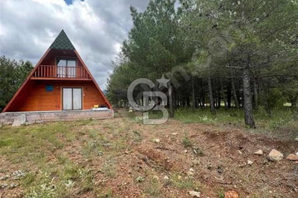 Tavas Nikfer'de Kayak Merkezine Yakın Müstakil Ev