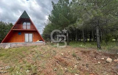 Tavas Nikfer'de Kayak Merkezine Yakın Müstakil Ev