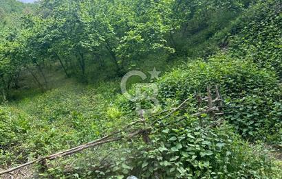 Sakarya Akyazı Bıçkıdere de 7100m2 %5 İmarlı Tarla