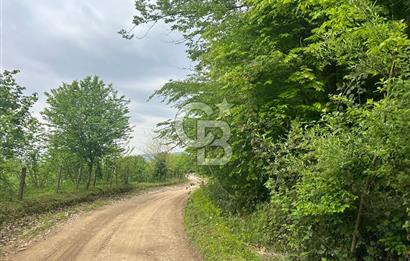 Sakarya Akyazı Bıçkıdere de 7100m2 %5 İmarlı Tarla