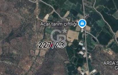 MİLAS SATILIK ZEYTİNLİK 255.000 TL BAFA MAH