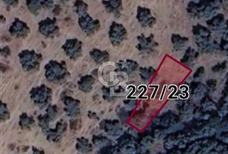 MİLAS SATILIK ZEYTİNLİK 255.000 TL BAFA MAH - 7 - 341505