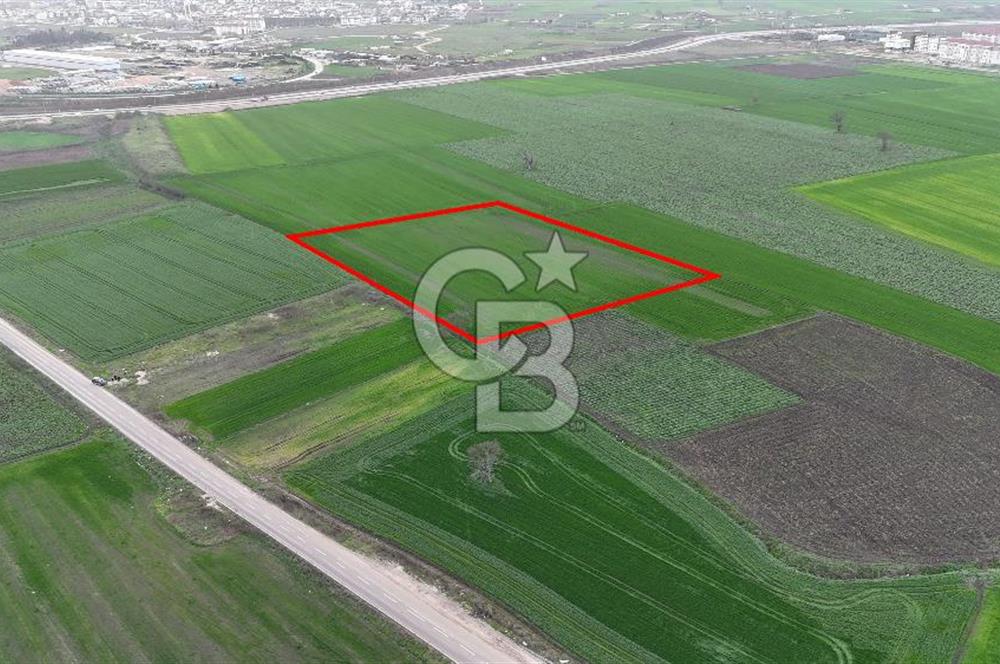 DOĞANKÖYDE İMAR SINIRININ DİBİNDE HİSSELİ FIRSAT TARLA
