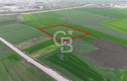 DOĞANKÖYDE İMAR SINIRININ DİBİNDE HİSSELİ FIRSAT TARLA