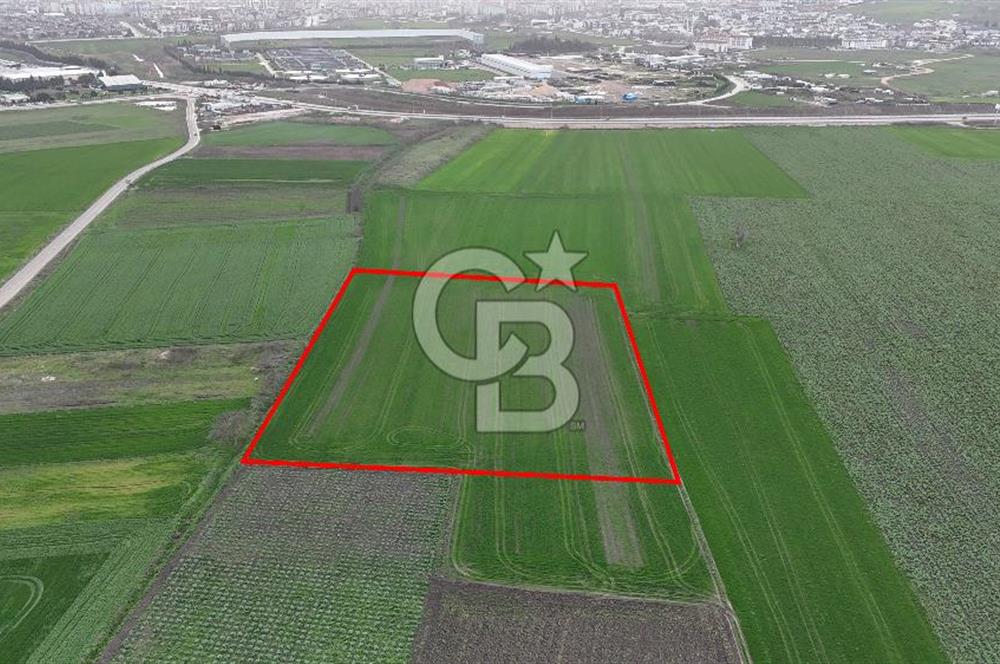 DOĞANKÖYDE İMAR SINIRININ DİBİNDE HİSSELİ FIRSAT TARLA