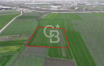 DOĞANKÖYDE İMAR SINIRININ DİBİNDE HİSSELİ FIRSAT TARLA