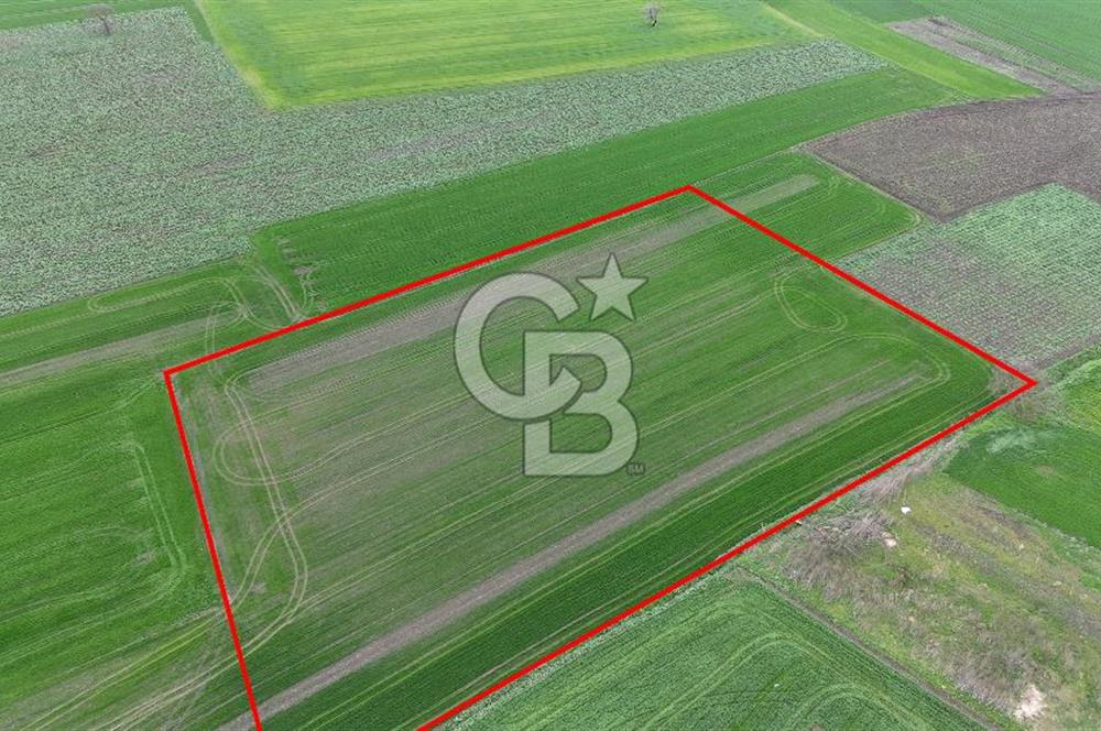 DOĞANKÖYDE İMAR SINIRININ DİBİNDE HİSSELİ FIRSAT TARLA