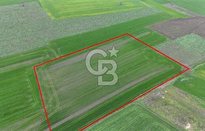 DOĞANKÖYDE İMAR SINIRININ DİBİNDE HİSSELİ FIRSAT TARLA