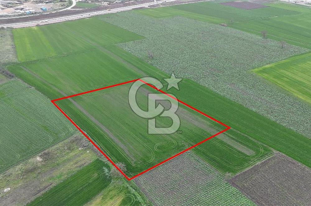 DOĞANKÖYDE İMAR SINIRININ DİBİNDE HİSSELİ FIRSAT TARLA