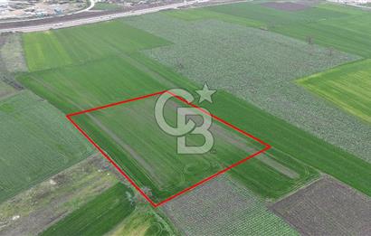 DOĞANKÖYDE İMAR SINIRININ DİBİNDE HİSSELİ FIRSAT TARLA