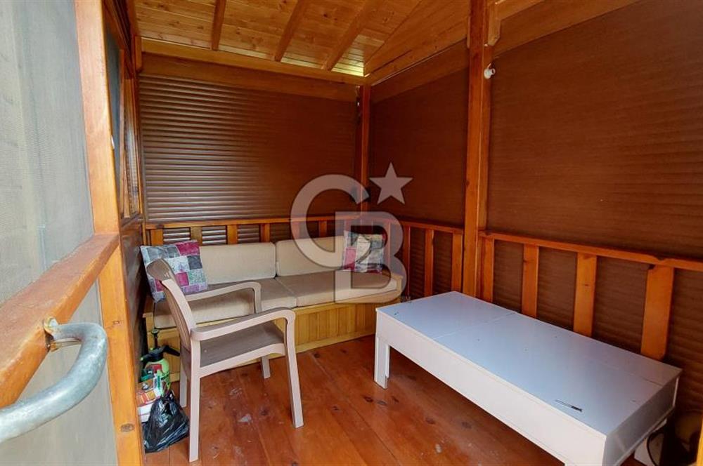 CB İZMİR DİKİLİ NEBİLER MAHALLESİ'NDE SATILIK ZEYTİNLİK 