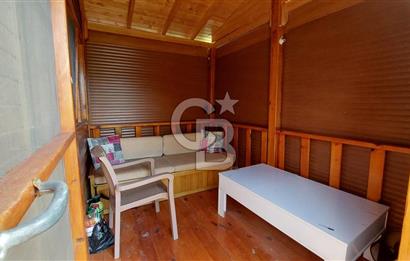 CB İZMİR DİKİLİ NEBİLER MAHALLESİ'NDE SATILIK ZEYTİNLİK 