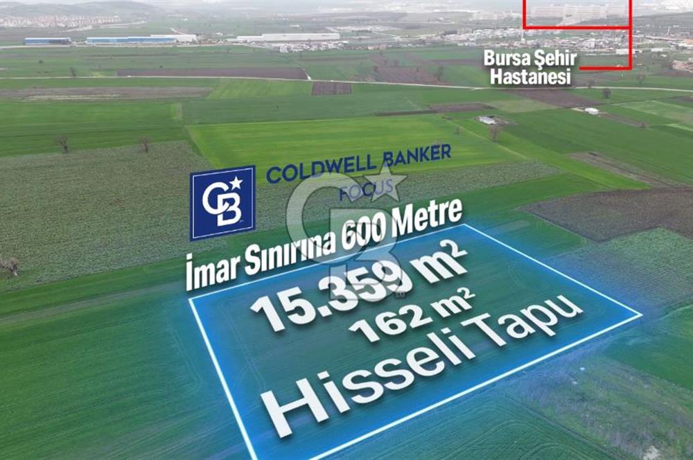 DOĞANKÖYDE İMAR SINIRININ DİBİNDE HİSSELİ FIRSAT TARLA