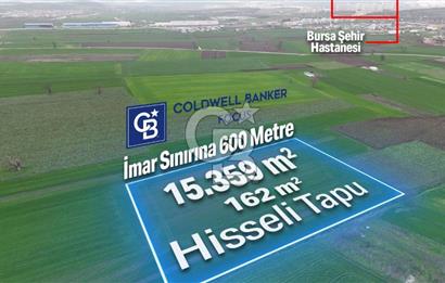 DOĞANKÖYDE İMAR SINIRININ DİBİNDE HİSSELİ FIRSAT TARLA