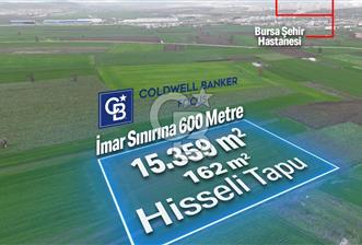 DOĞANKÖYDE İMAR SINIRININ DİBİNDE HİSSELİ FIRSAT TARLA - 2 - 341486