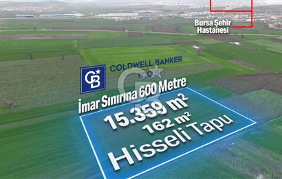 DOĞANKÖYDE İMAR SINIRININ DİBİNDE HİSSELİ FIRSAT TARLA