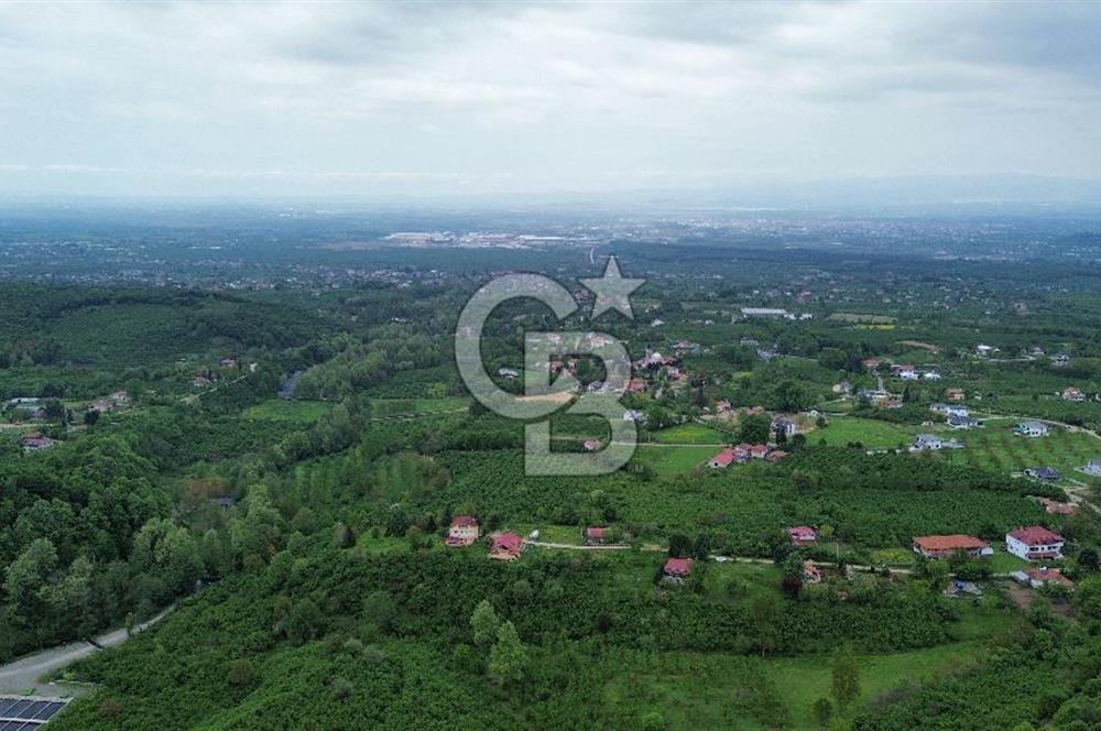 Sakarya Akyazı Bıçkıdere de 7100m2 %5 İmarlı Tarla