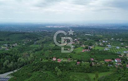 Sakarya Akyazı Bıçkıdere de 7100m2 %5 İmarlı Tarla