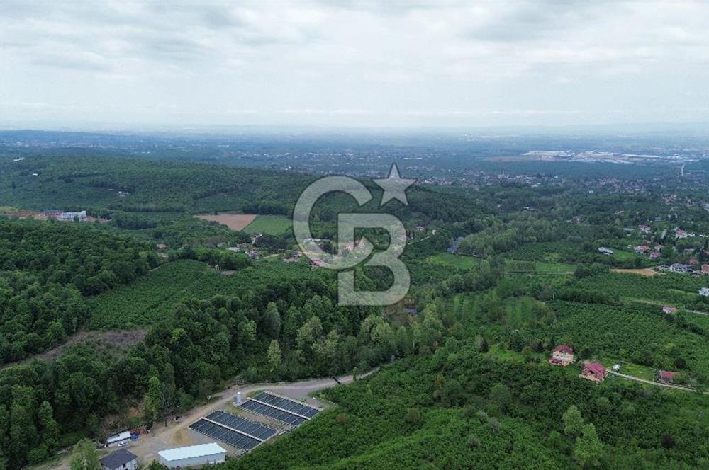 Sakarya Akyazı Bıçkıdere de 7100m2 %5 İmarlı Tarla