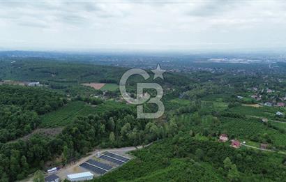 Sakarya Akyazı Bıçkıdere de 7100m2 %5 İmarlı Tarla