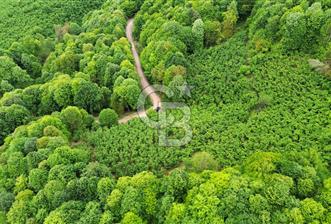 Sakarya Akyazı Bıçkıdere de 7100m2 %5 İmarlı Tarla - 8 - 341463