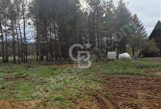 Nikfer Kayak Merkezine Yakın Yatırımlık Tarla - 1 - 341487