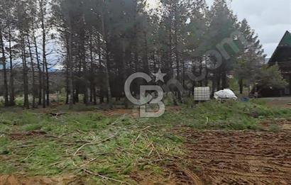 Nikfer Kayak Merkezine Yakın Yatırımlık Tarla