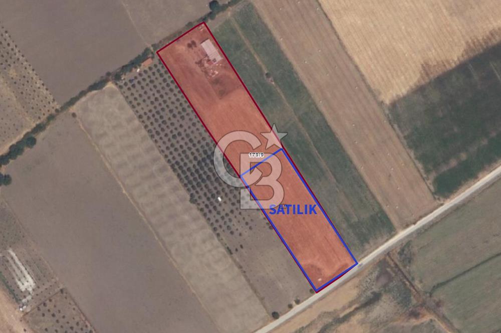 C.B. ROUTE | DİKİLİ DEMİRTAŞ MAH. 5.5 DÖNÜM SATILIK TARLA