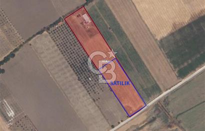 C.B. ROUTE | DİKİLİ DEMİRTAŞ MAH. 5.5 DÖNÜM SATILIK TARLA