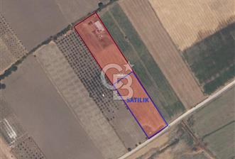 C.B. ROUTE | DİKİLİ DEMİRTAŞ MAH. 5.5 DÖNÜM SATILIK TARLA - 5 - 326253