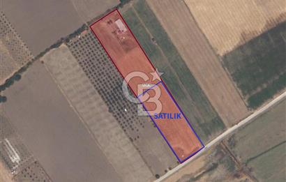 C.B. ROUTE | DİKİLİ DEMİRTAŞ MAH. 5.5 DÖNÜM SATILIK TARLA