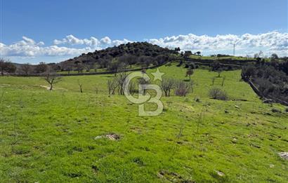 ÇANAKKALE AYVACIK KULFAL KÖYÜNDE SATILIK TARLA