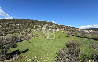 ÇANAKKALE AYVACIK KULFAL KÖYÜNDE SATILIK TARLA