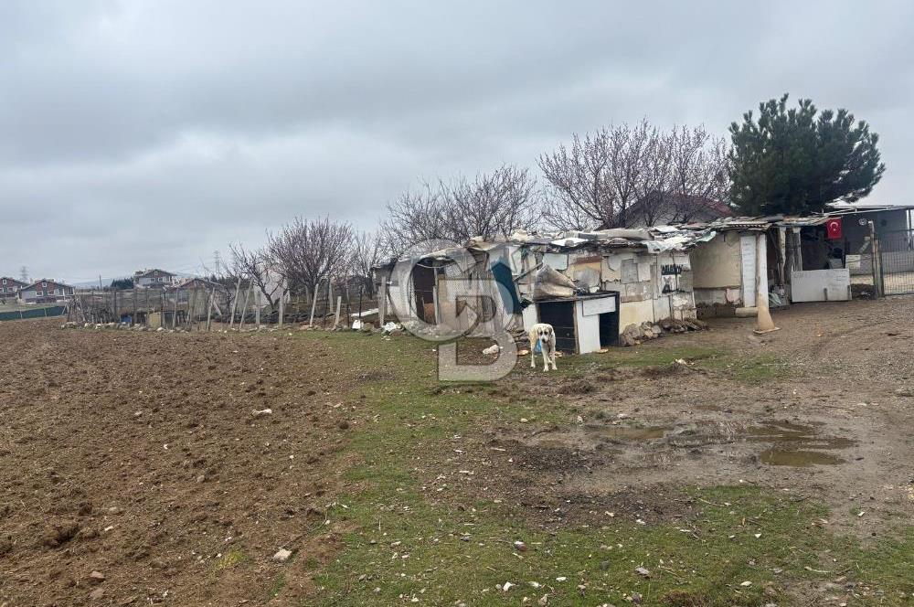 CB VİZYON TEVFİK BAŞTÜRK'TEN GÖLBAŞI YAYLABAĞ MH. SATILIK TARLA