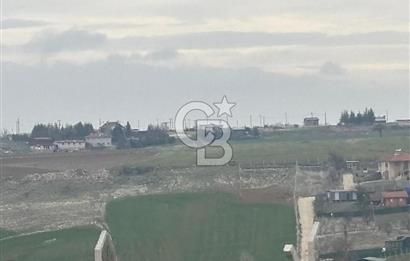 CB VİZYON TEVFİK BAŞTÜRK'TEN GÖLBAŞI YAYLABAĞ MH. SATILIK TARLA