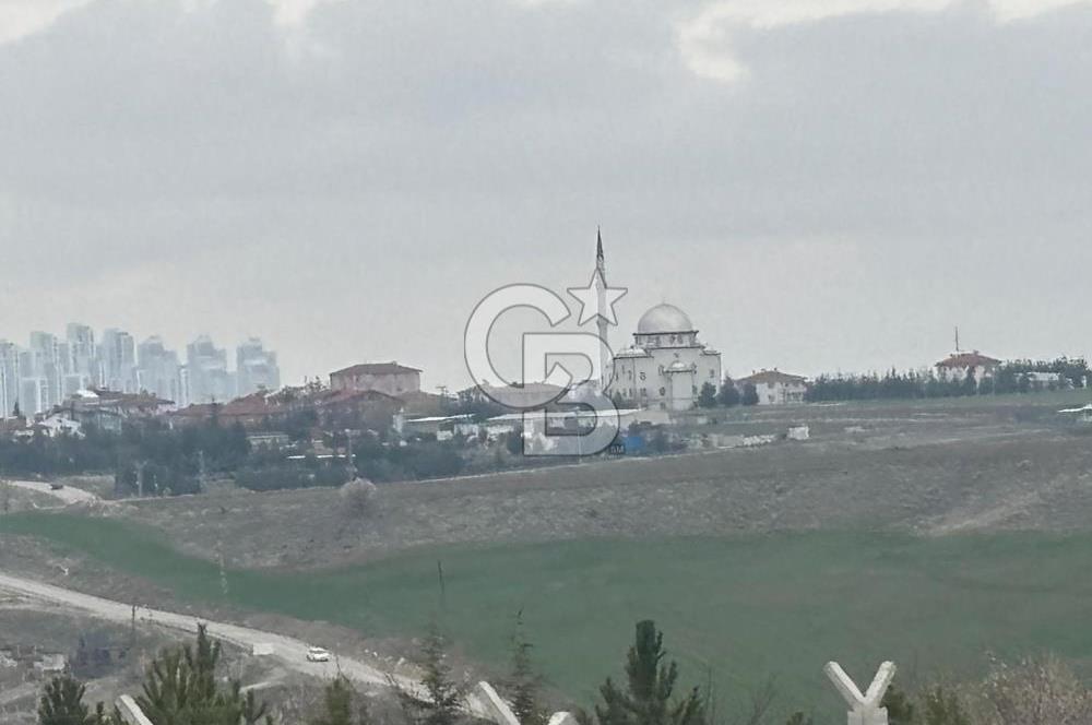 CB VİZYON TEVFİK BAŞTÜRK'TEN GÖLBAŞI YAYLABAĞ MH. SATILIK TARLA