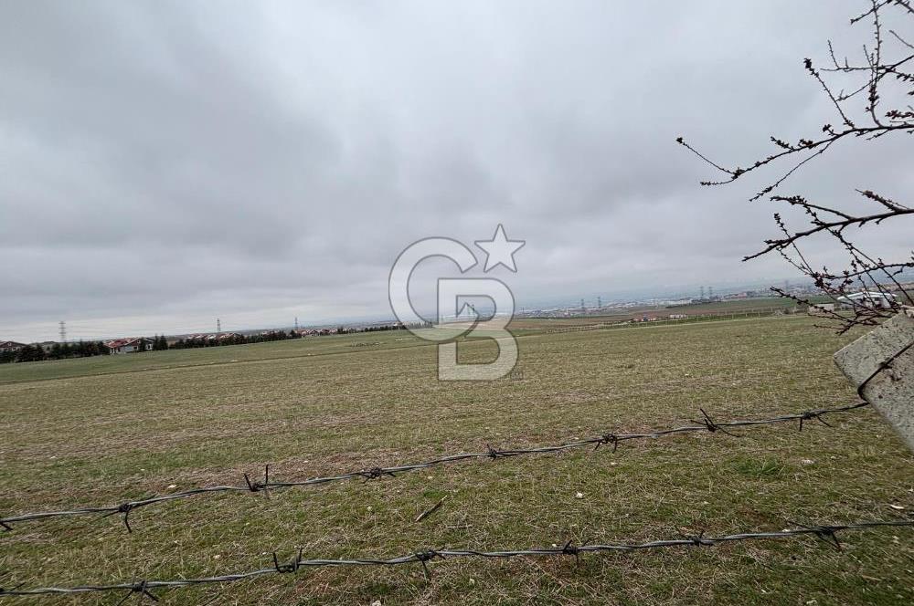 CB VİZYON TEVFİK BAŞTÜRK'TEN GÖLBAŞI YAYLABAĞ MH. SATILIK TARLA