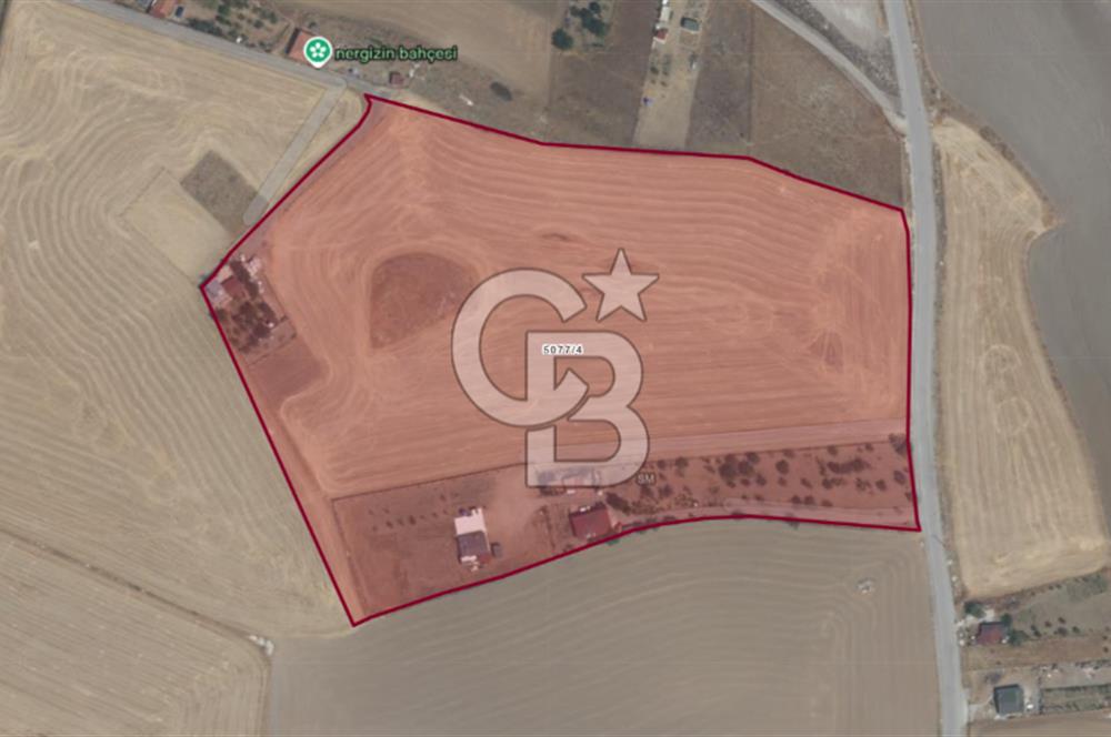 CB VİZYON TEVFİK BAŞTÜRK'TEN GÖLBAŞI YAYLABAĞ MH. SATILIK TARLA