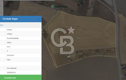 CB VİZYON TEVFİK BAŞTÜRK'TEN GÖLBAŞI YAYLABAĞ MH. SATILIK TARLA