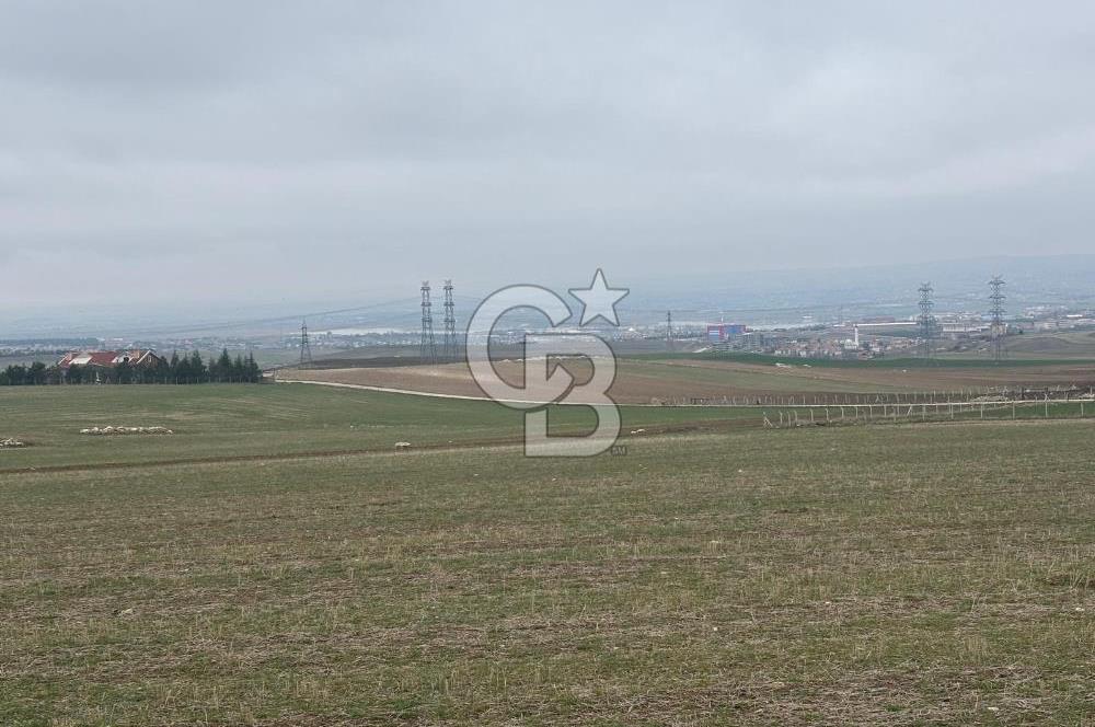 CB VİZYON TEVFİK BAŞTÜRK'TEN GÖLBAŞI YAYLABAĞ MH. SATILIK TARLA