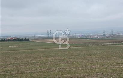 CB VİZYON TEVFİK BAŞTÜRK'TEN GÖLBAŞI YAYLABAĞ MH. SATILIK TARLA