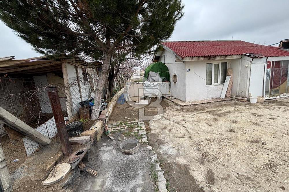 CB VİZYON TEVFİK BAŞTÜRK'TEN GÖLBAŞI YAYLABAĞ MH. SATILIK TARLA